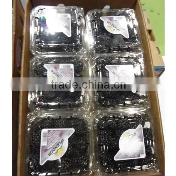 blackberry packaging box