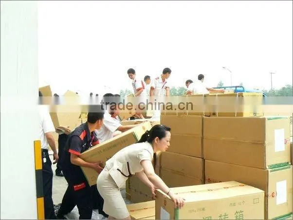 New Primary School Students English Learning Book Printing