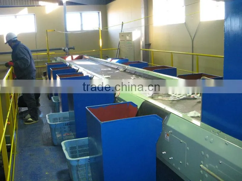 pet bottle crushing washing line