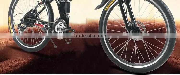 electric folding electric bike,electric bicycle