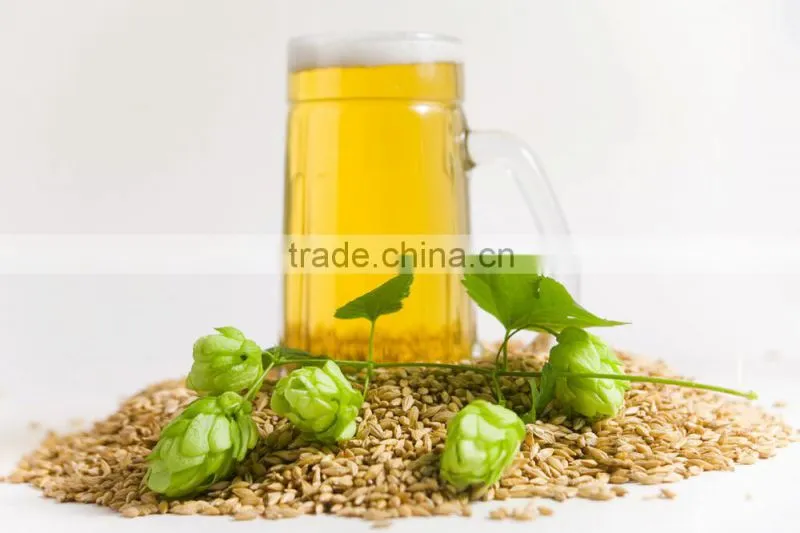 hot beer barley in summer,origin Australia