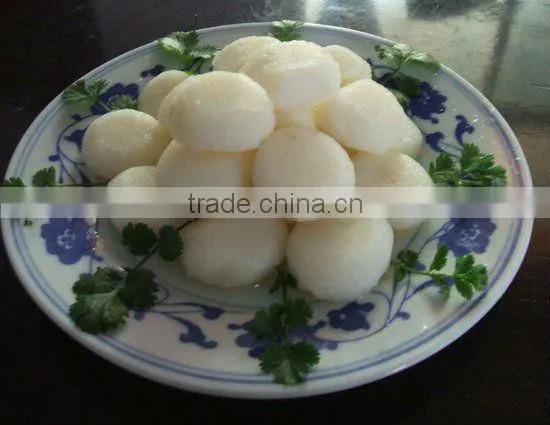 Canned Vegetable Canned Water Chestnut 567g