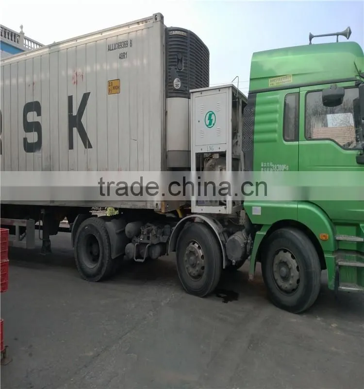 frozen green peas/chinese IQF green peas