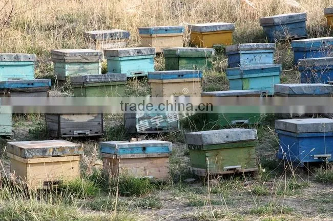 beekeeping equipment zorue two layers beehive