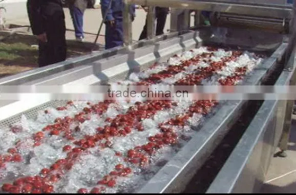 jujube production line/date processing line for high capacity