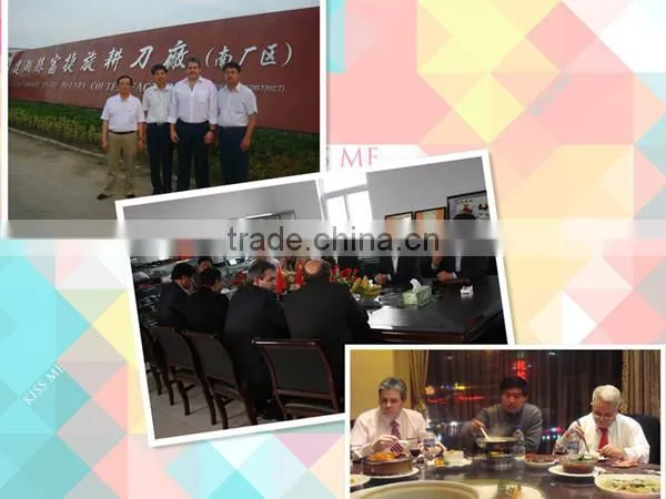 agrecultural machines spare parts Cultivator blade tiller , many spring tine cultivator parts