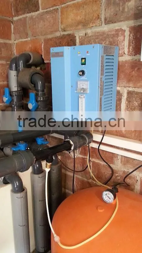 Wall Mounted Water Treatment System O3 Generator Swimming Pool Cleaning Equipment