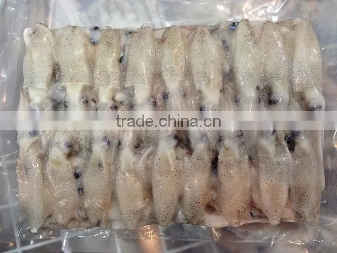 Frozen IQF north China baby squid
