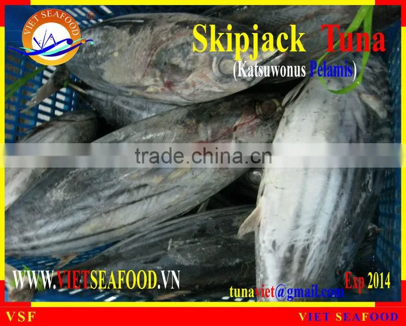 W/R FROZEN SKIPJACK TUNA