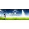 Qingdao Megatro Mechanical And Electrical Equipment Co. company overview - view 1