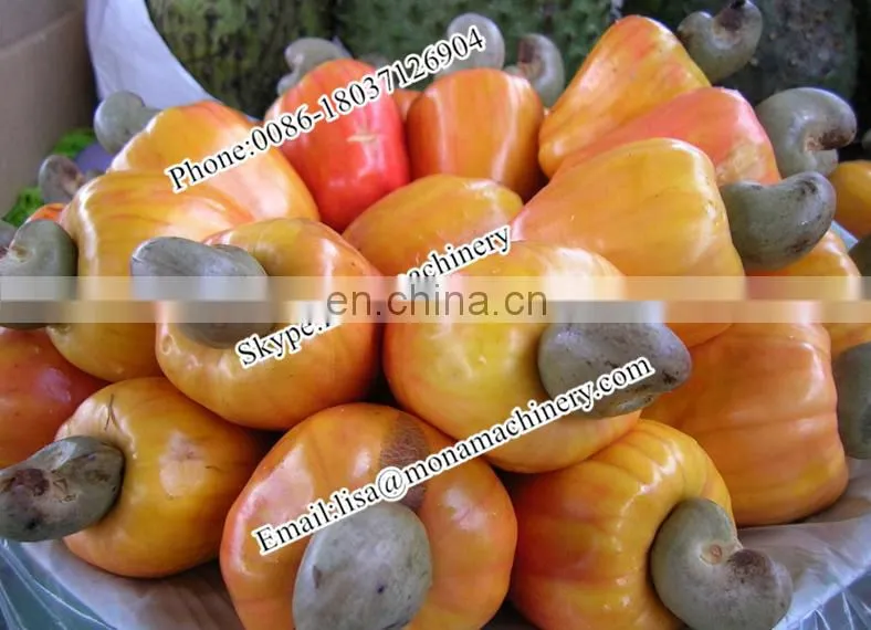 Automatic Electric Best Fresh Raw Cashew Nut Roasting Machine