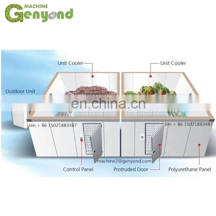 frozen beef cold storage cold chain cold warehouse