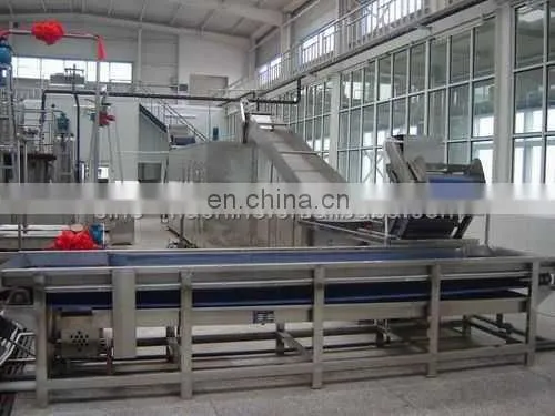 complete mango jam paste puree processing plant