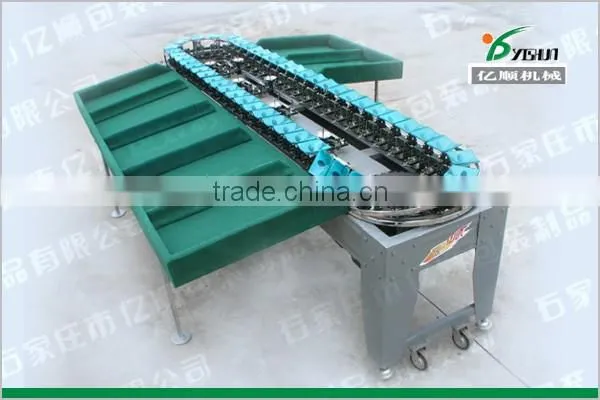 Sorter type onion sorting machine