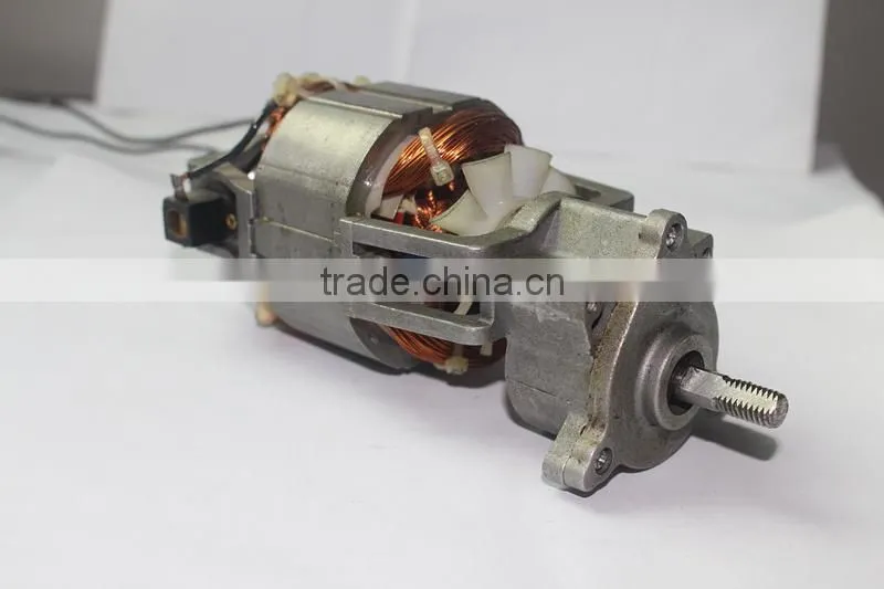 direct manufacturer of AC gear motor