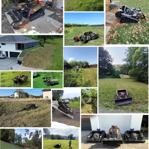 ow to clear overgrown land (3)