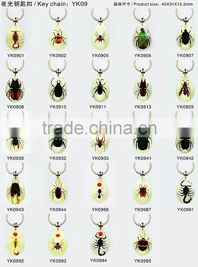 Real insect keychain with scorpion