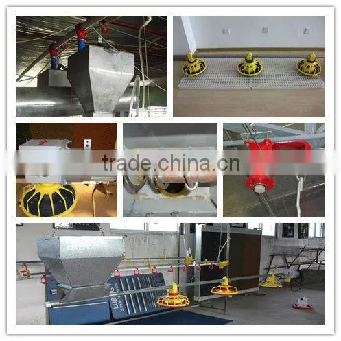 hot sale birdsitter hot dip galvanized chicken farming poultry feeding system