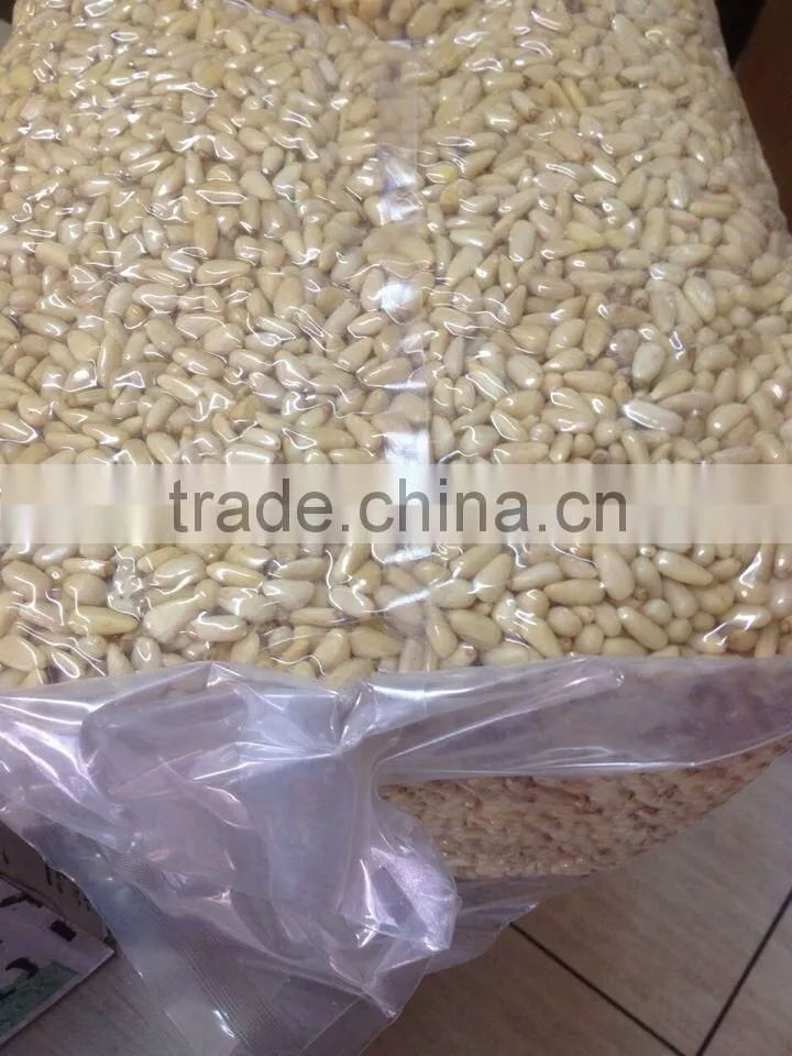 Chinese Pine Nut Kernels small bags