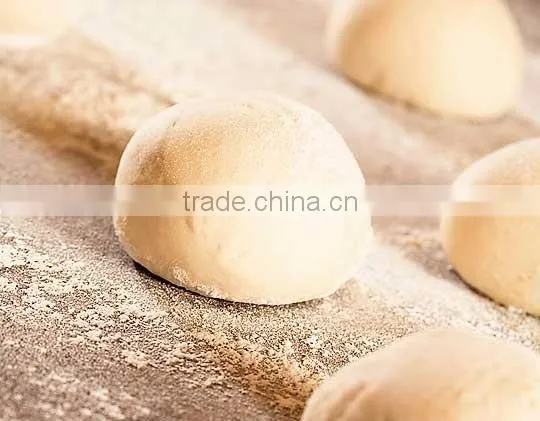 automatic dough divider rounder
