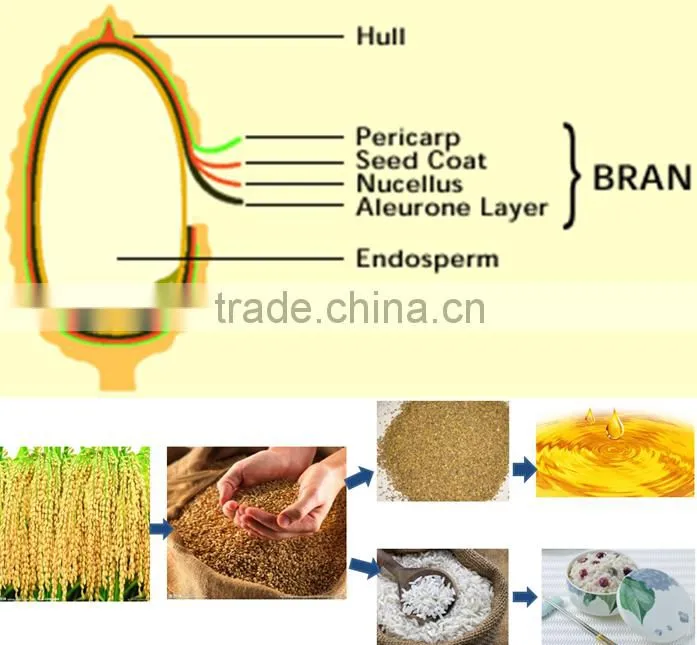 rice bran oil production line with reasonable price