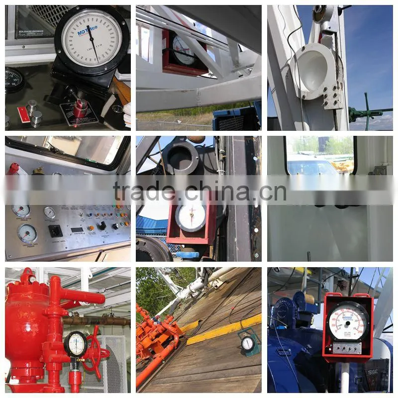 Type 100 Weight Indicators