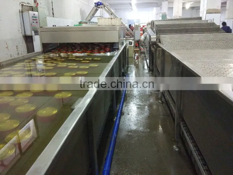 Canned Tomato Paste,brix:22-24%,24-26%,28-30%,hot sell Africa