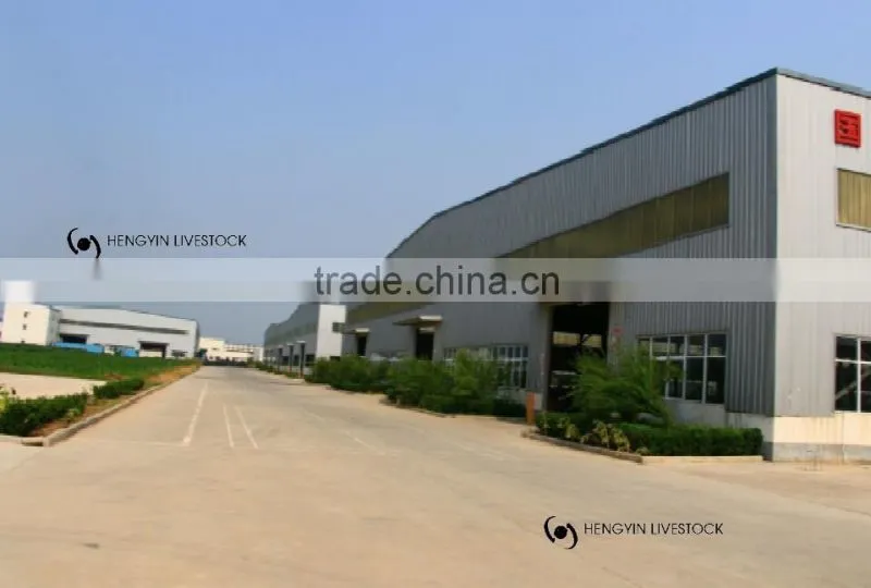 poultry farming equipment feed grain silo for sale