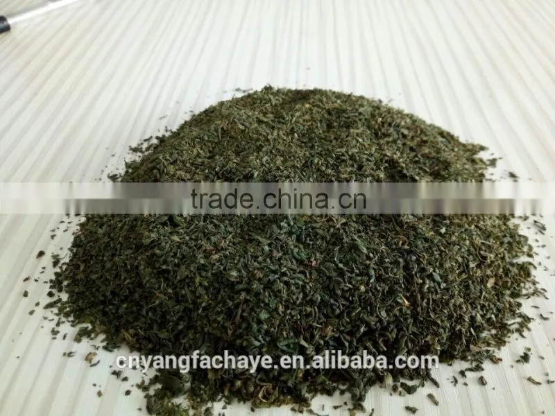 Factory directly provide low price broken green tea for tea bag