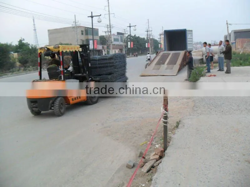 Galvanized Hexagonal Gaboin Box( Manufacturer ISO9001)