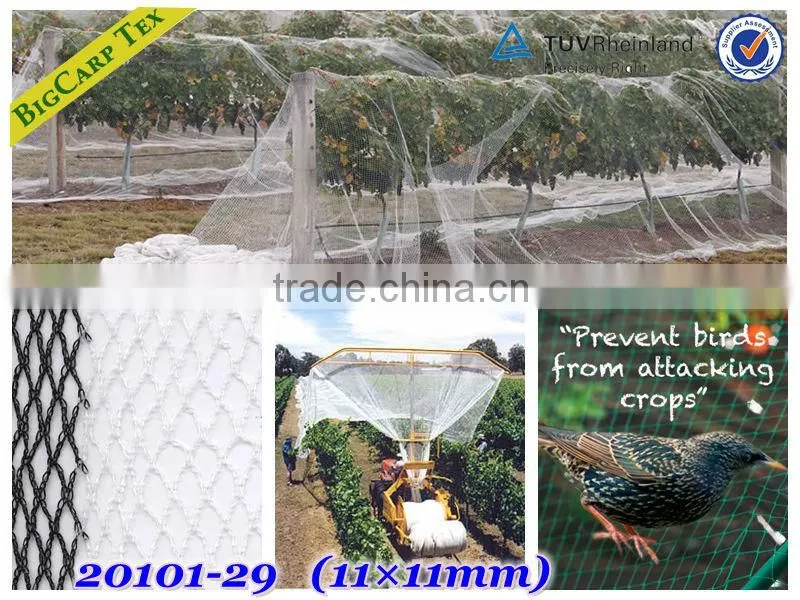 Canopy bird netting / 20101-45