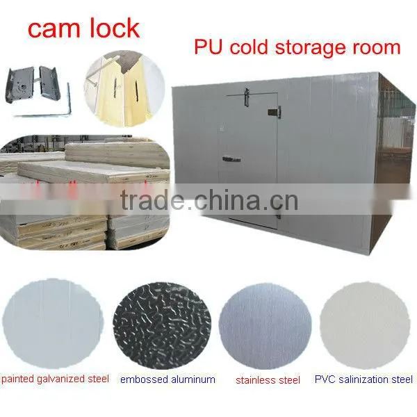modular cold room and freezer room(fruit&meat)with cam lock polyurethane panels