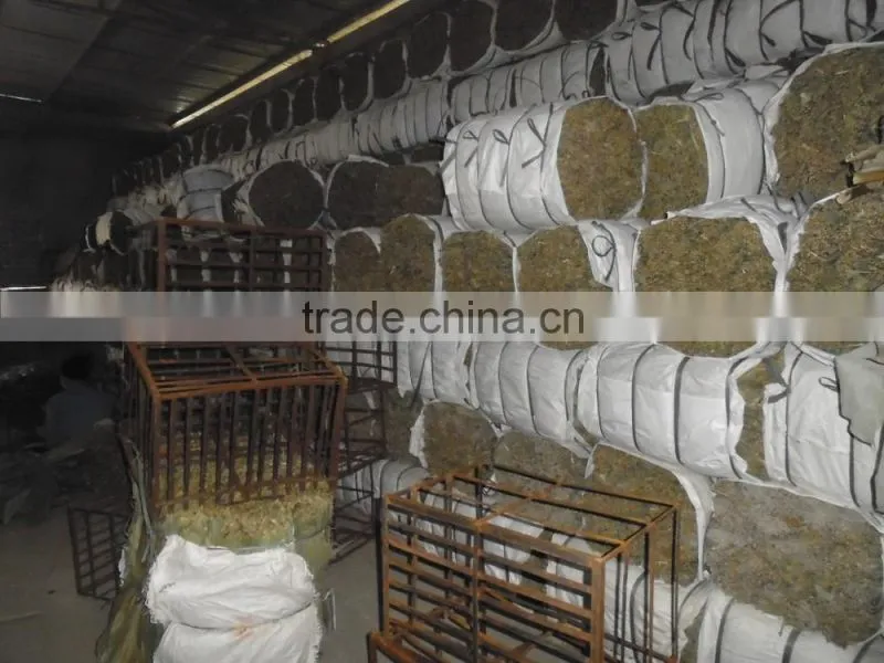 Bamboo leaf japan market; Bamboo leaves