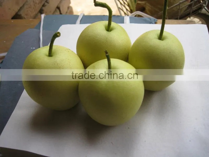 Nice difference specification of crown pear in china