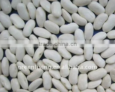 2011 dried white kidney beans (380-400pcs/100g)