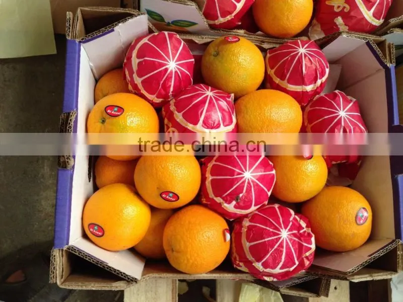 Egyptian Navel Orange With Best Quality