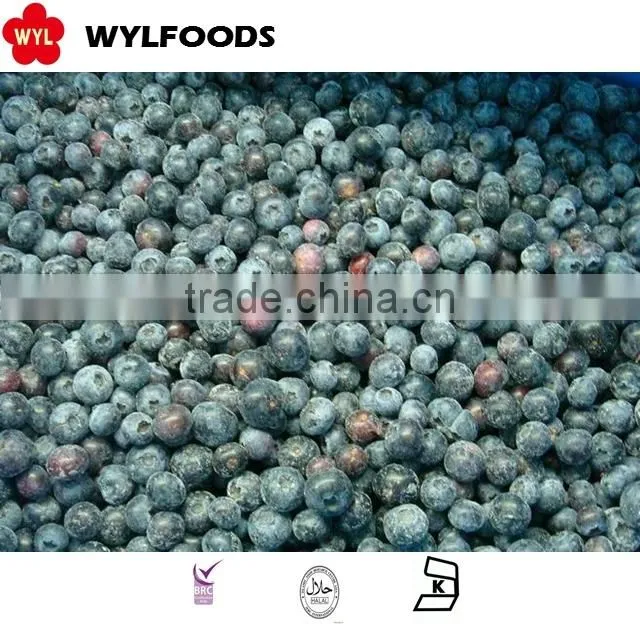 IQF frozen blueberry high quality hot sales