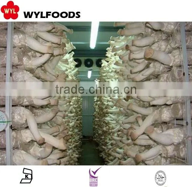 mushroom frozen IQF pleurotus eryngii 2015 high quality