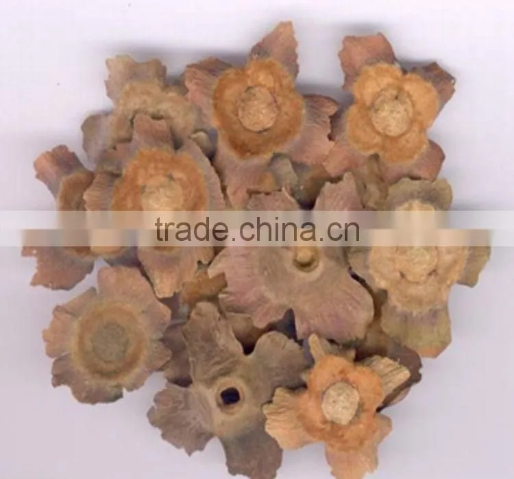 Manufactory Supplier of Persimmon Calyx Kaki Extract