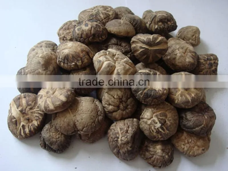 Dried flower mushroom, china shiitake mushroom