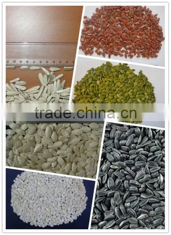 2014 new crop Watermelon seeds Kernels packing in 25kg per bag