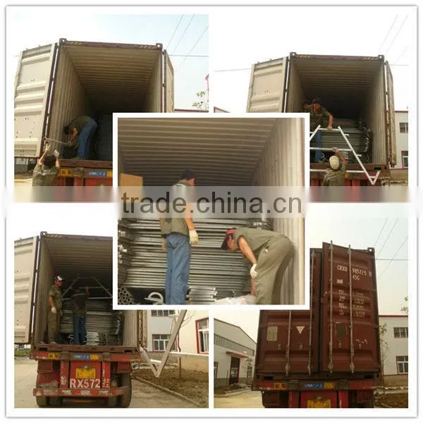 layer chicken poultry house