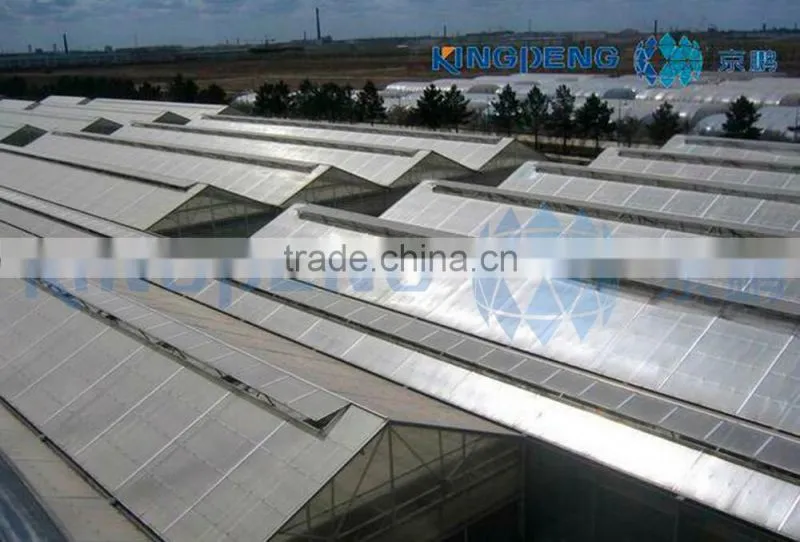 Large Roof Span PC Sheet Greenhouse