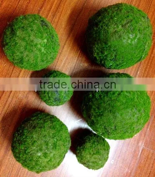 artificial moss ball