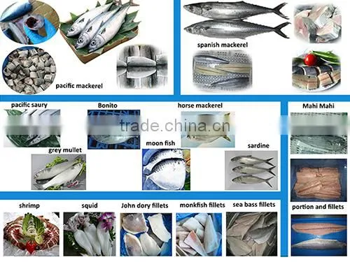 Frozen Seafood BLACK POMFRET OR BRAMA FILLET Frozen Fish