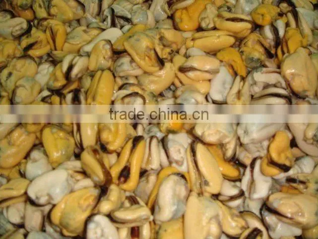 frozen mussel without shell