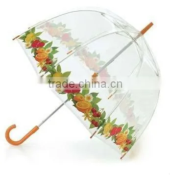 Transparent Clear Dome Umbrella