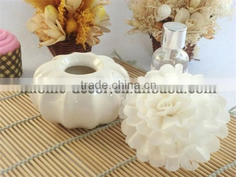 Popular 100ml home fragrance aroma reed diffuser
