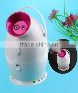 Nano-Ionic personal facial steamer