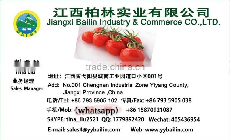 28-30% brix Pate de tomate factory ,cheapest price